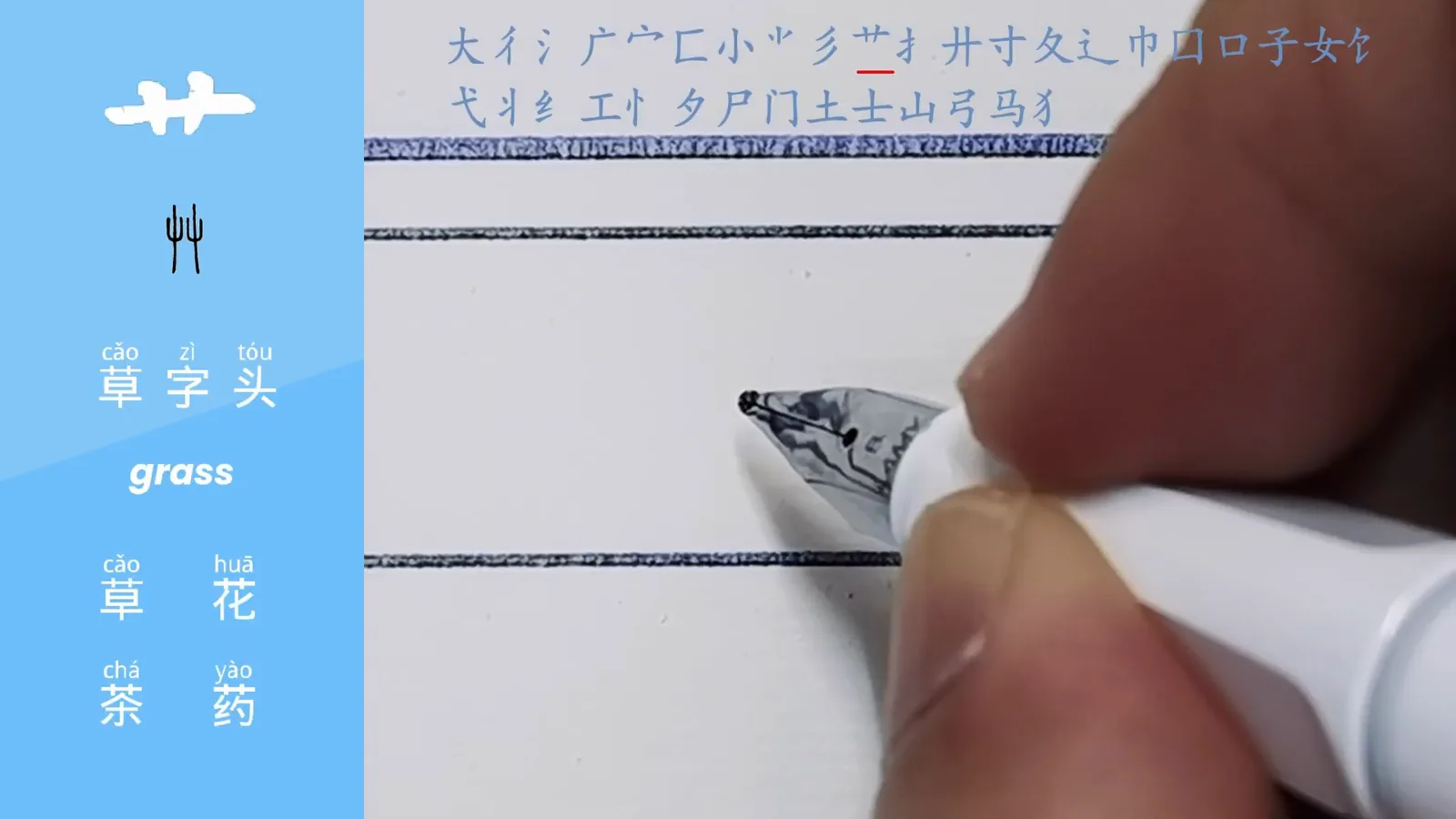 the grass radical cao drawn as a small double cross on top of plant and flower characters on a Chinese radicals lesson slide