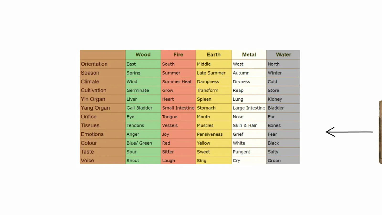 A five column correspondence table of Chinese five element theory listing the season, climate, organ, emotion, colour and taste of wood, fire, earth, metal and water