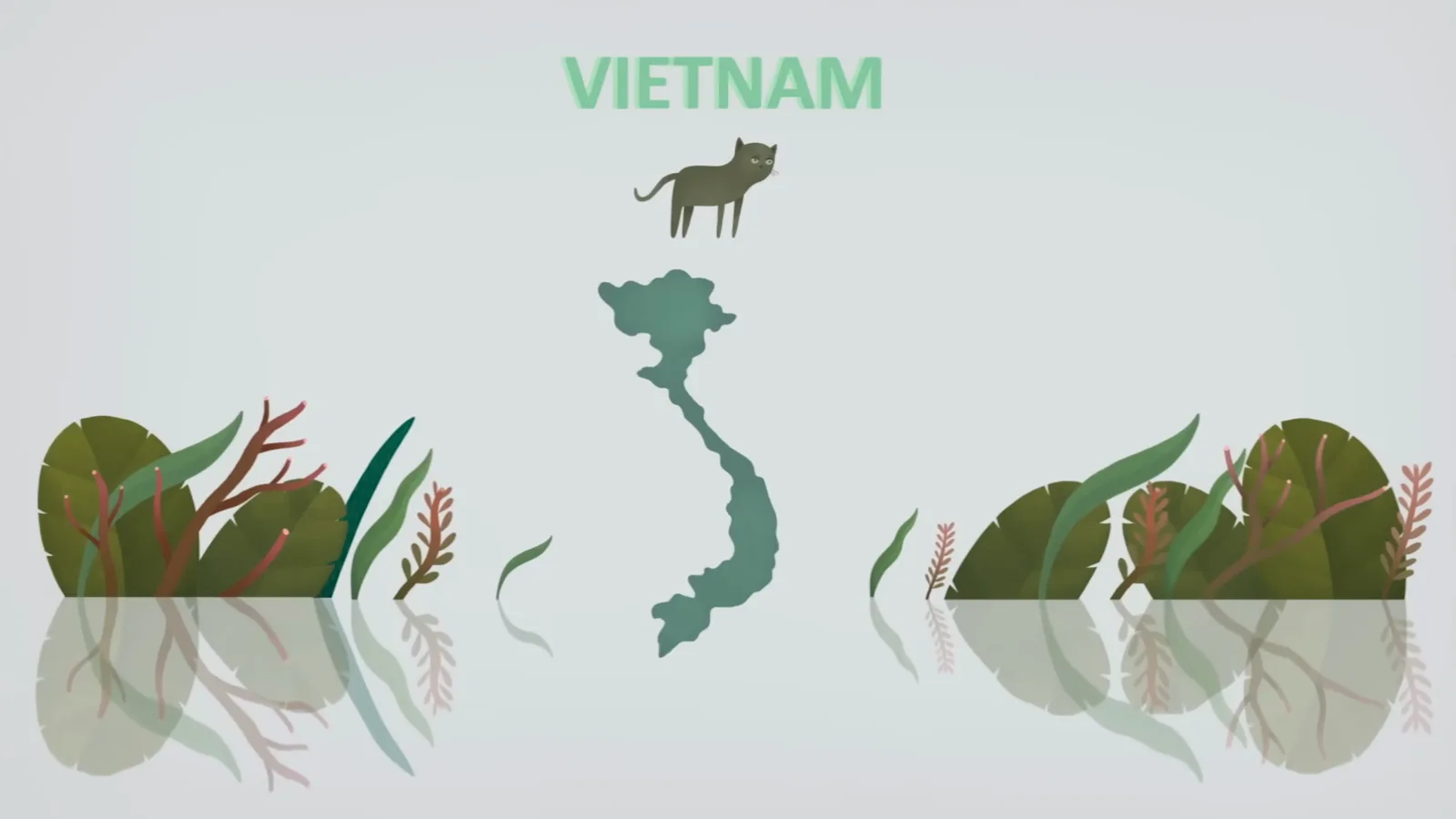 Map of Vietnam with the cat replacing the rabbit in the Vietnamese zodiac, showing how the 12 animals changed as they spread across Asia Map of Vietnam with the cat replacing the rabbit in the Vietnamese zodiac, showing how the 12 animals changed as they spread across Asia